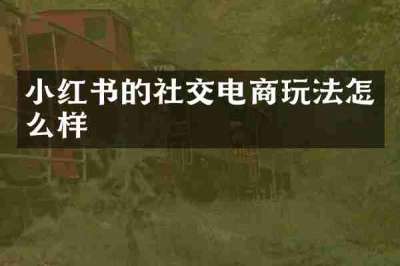 小红书的社交电商玩法怎么样