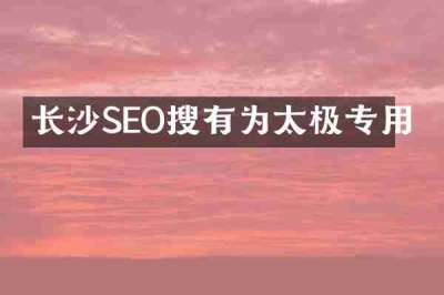 长沙SEO搜有为太极专用