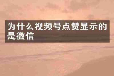 为什么视频号点赞显示的是微信