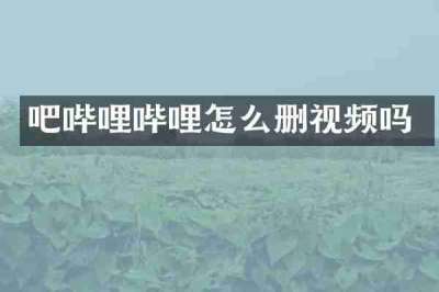 吧哔哩哔哩怎么删视频吗
