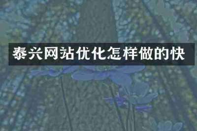 泰兴网站优化怎样做的快