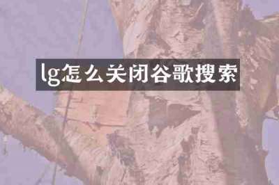 lg怎么关闭谷歌搜索