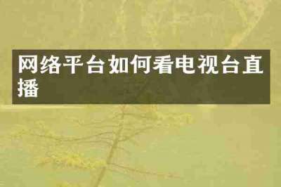 网络平台如何看电视台直播