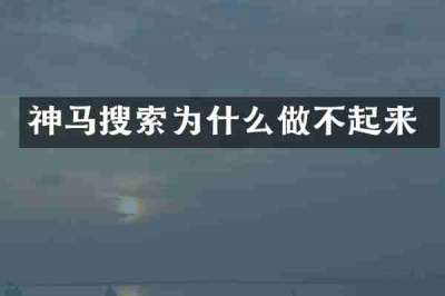 神马搜索为什么做不起来