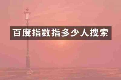 百度指数指多少人搜索
