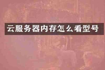 云服务器内存怎么看型号