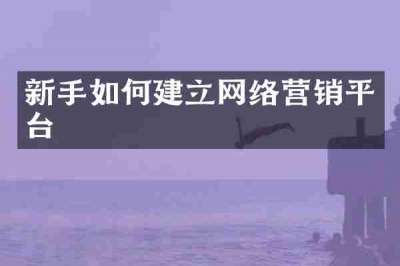 新手如何建立网络营销平台