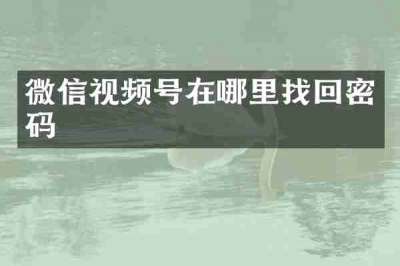 微信视频号在哪里找回密码