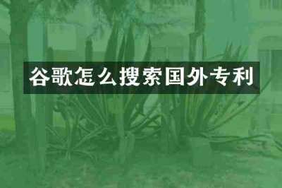 谷歌怎么搜索国外专利