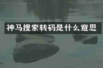 神马搜索转码是什么意思