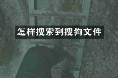 怎样搜索到搜狗文件