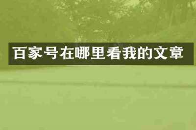 百家号在哪里看我的文章