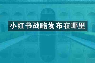 小红书战略发布在哪里