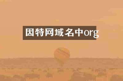 因特网域名中org