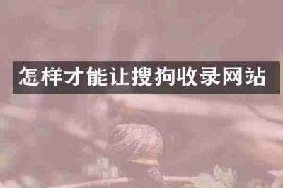 怎样才能让搜狗收录网站
