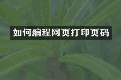 如何编程网页打印页码