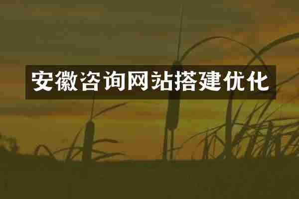 安徽咨询网站搭建优化