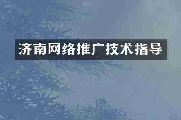 济南网络推广技术指导