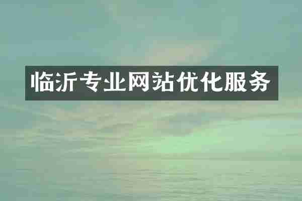 临沂专业网站优化服务