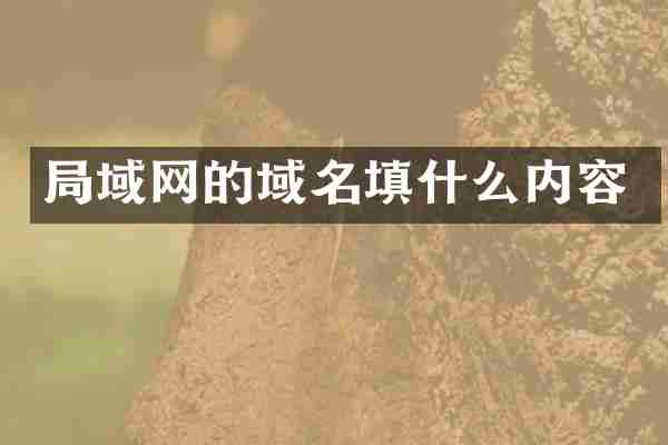 局域网的域名填什么内容