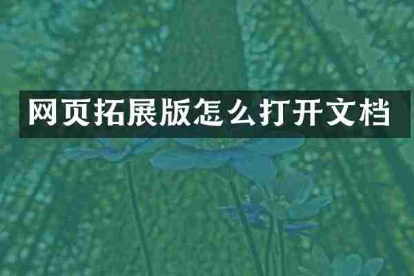 网页拓展版怎么打开文档