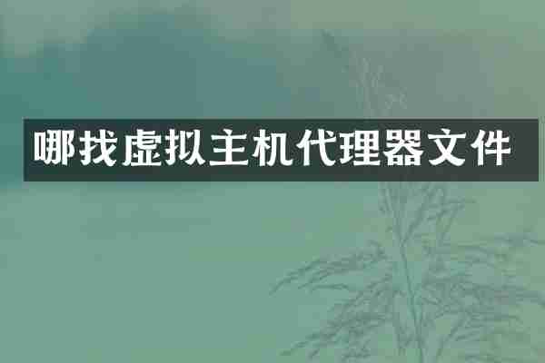 哪找虚拟主机代理器文件