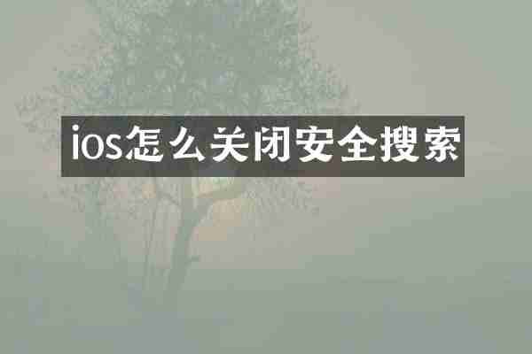ios怎么关闭安全搜索