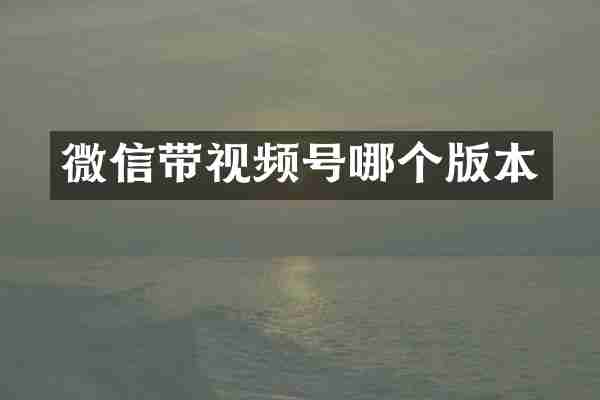 微信带视频号哪个版本