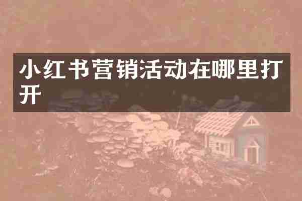 小红书营销活动在哪里打开