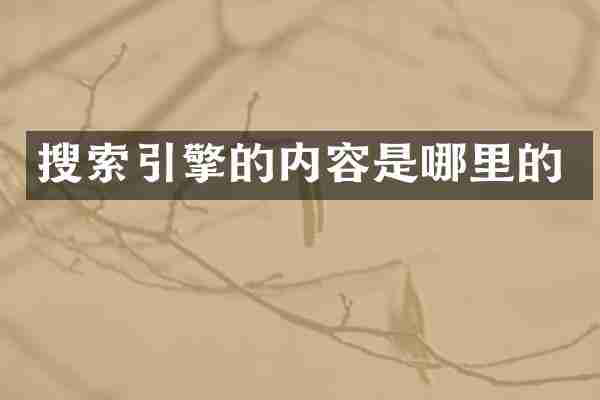 搜索引擎的内容是哪里的