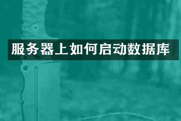 服务器上如何启动数据库
