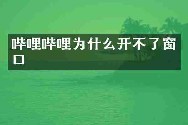 哔哩哔哩为什么开不了窗口