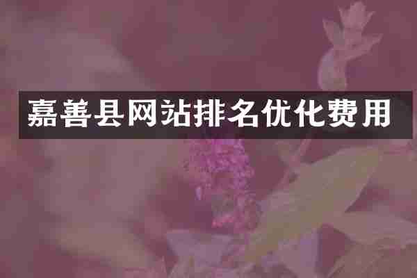 嘉善县网站排名优化费用