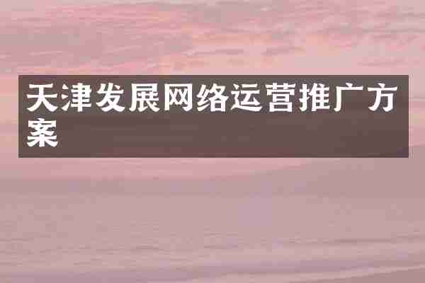 天津发展网络运营推广方案