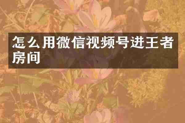 怎么用微信视频号进王者房间