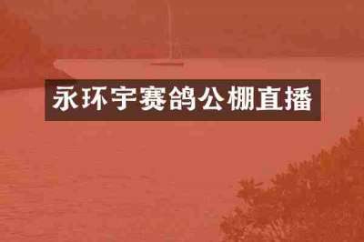 永环宇赛鸽公棚直播