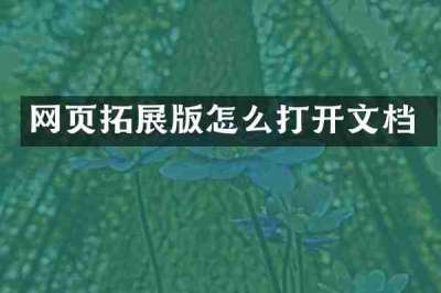 网页拓展版怎么打开文档