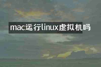 mac运行linux虚拟机吗