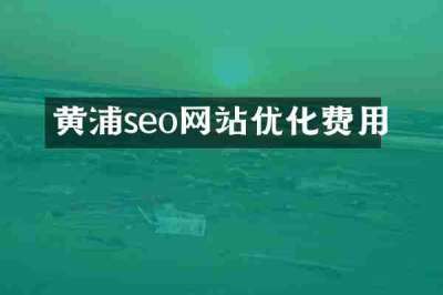 黄浦seo网站优化费用