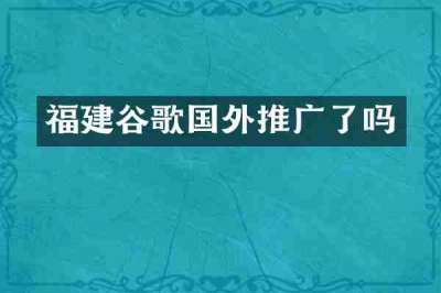 福建谷歌国外推广了吗