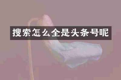 搜索怎么全是头条号呢