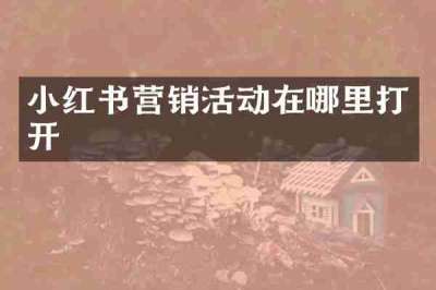 小红书营销活动在哪里打开
