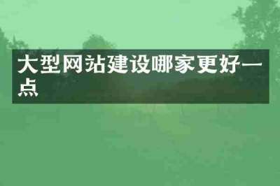 大型网站建设哪家更好一点