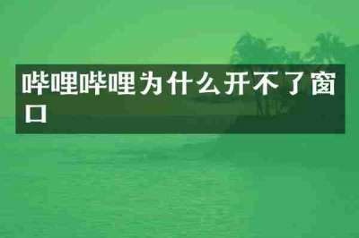 哔哩哔哩为什么开不了窗口