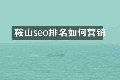 鞍山seo排名如何营销
