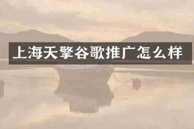 上海天擎谷歌推广怎么样