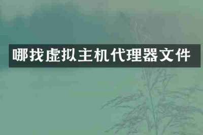 哪找虚拟主机代理器文件