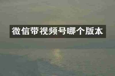 微信带视频号哪个版本