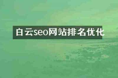 白云seo网站排名优化