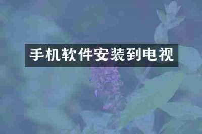 手机软件安装到电视